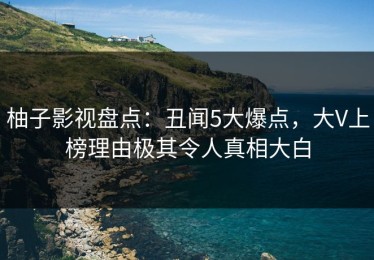 柚子影视盘点：丑闻5大爆点，大V上榜理由极其令人真相大白