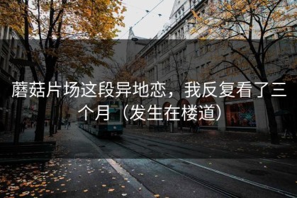 蘑菇片场这段异地恋，我反复看了三个月（发生在楼道）