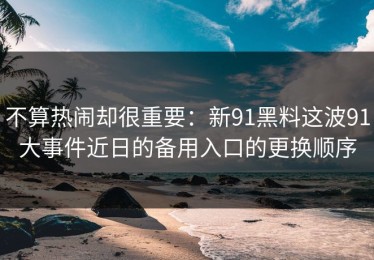 不算热闹却很重要：新91黑料这波91大事件近日的备用入口的更换顺序