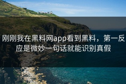 刚刚我在黑料网app看到黑料，第一反应是微妙一句话就能识别真假