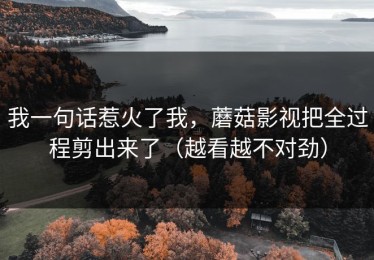 我一句话惹火了我，蘑菇影视把全过程剪出来了（越看越不对劲）