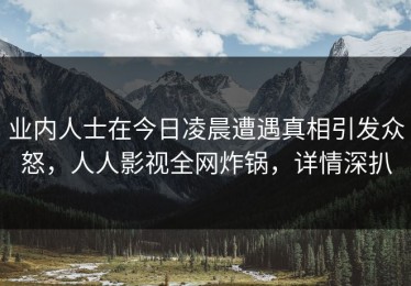 业内人士在今日凌晨遭遇真相引发众怒，人人影视全网炸锅，详情深扒