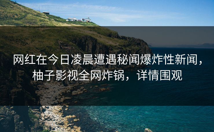 网红在今日凌晨遭遇秘闻爆炸性新闻，柚子影视全网炸锅，详情围观